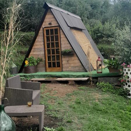 La Fatina Lodge Barga Εξωτερικό φωτογραφία
