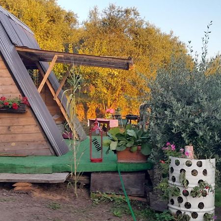 La Fatina Lodge Barga Εξωτερικό φωτογραφία