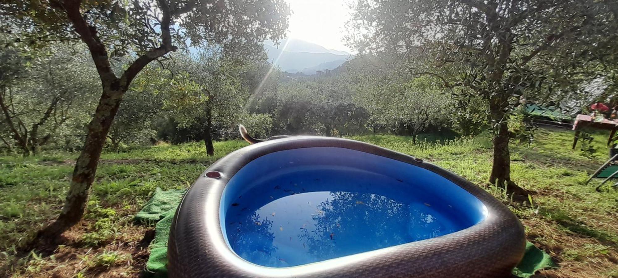 La Fatina Lodge Barga Εξωτερικό φωτογραφία