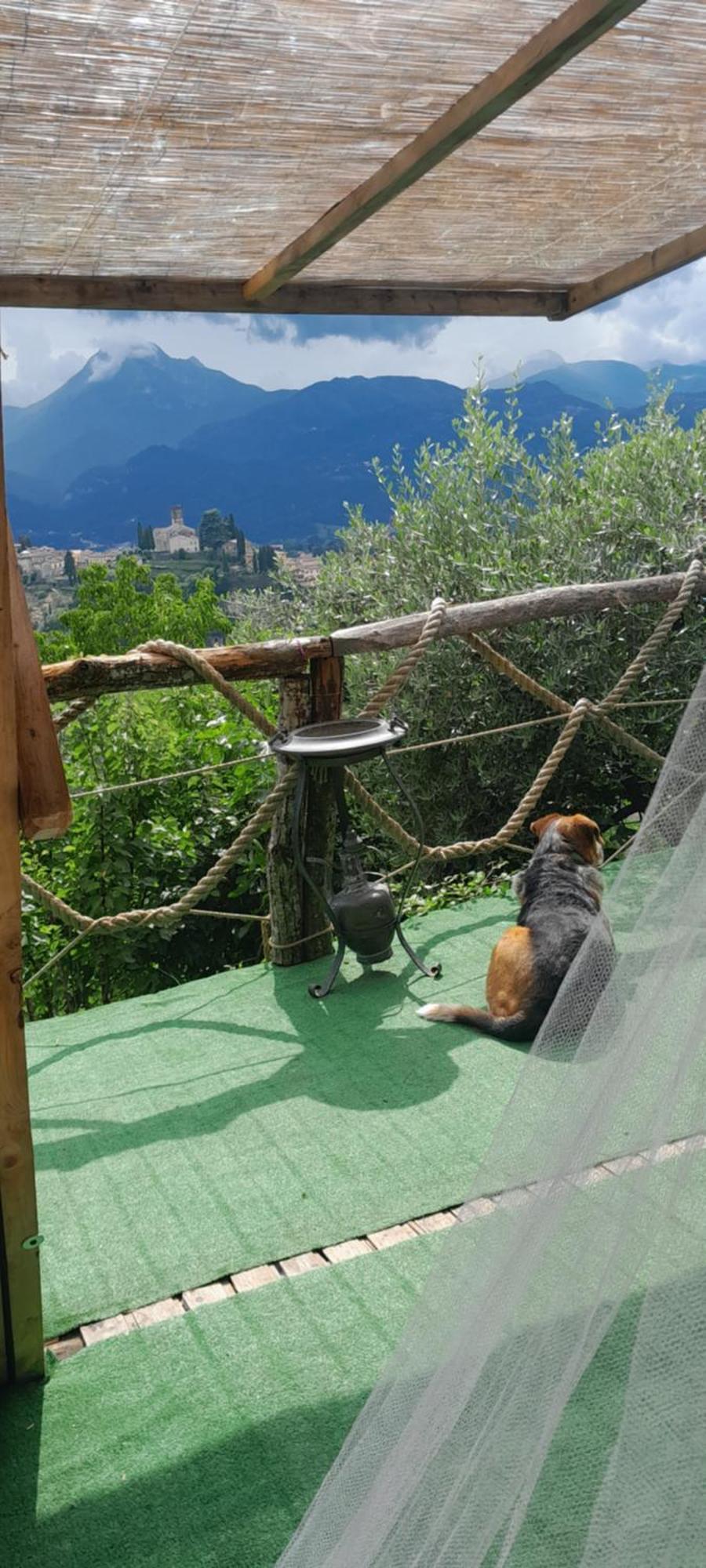 La Fatina Lodge Barga Εξωτερικό φωτογραφία