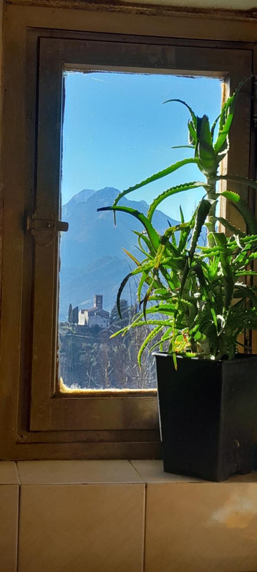 La Fatina Lodge Barga Εξωτερικό φωτογραφία